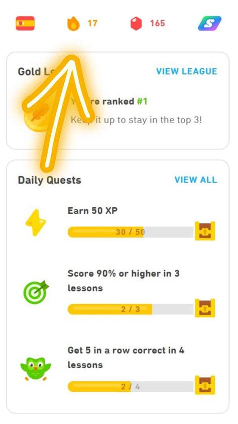 duolingo streak gif|Who Has The Longest Duolingo Streak .